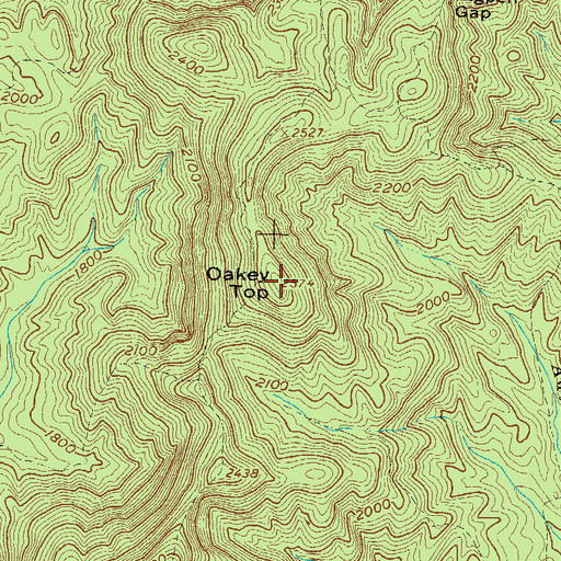 Topographic Map of Oakey Top, GA