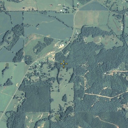 Aerial/Satellite Image of Pleasant Hill Zion Church, GA