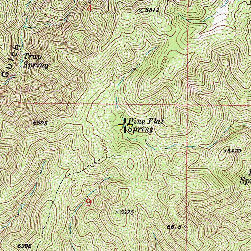 Topographic Map of Pine Flat Spring, AZ