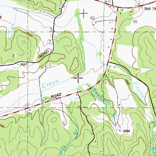 Topographic Map of Reynolds Branch, GA