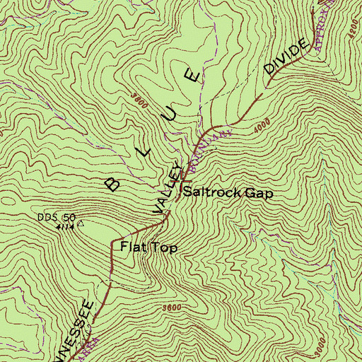 Topographic Map of Saltrock Gap, GA