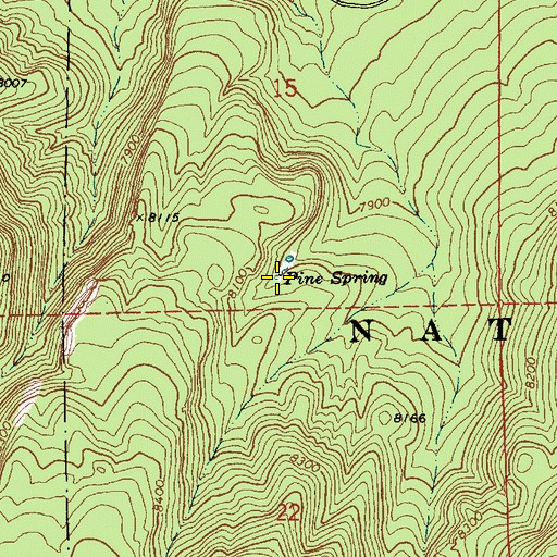 Topographic Map of Pine Spring, AZ