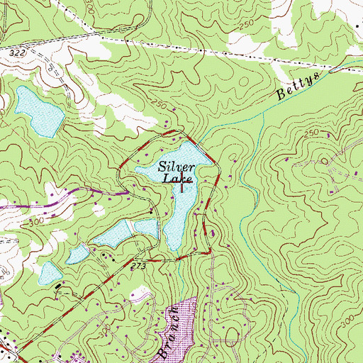 Topographic Map of Silver Lake, GA