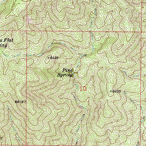 Topographic Map of Pine Spring, AZ