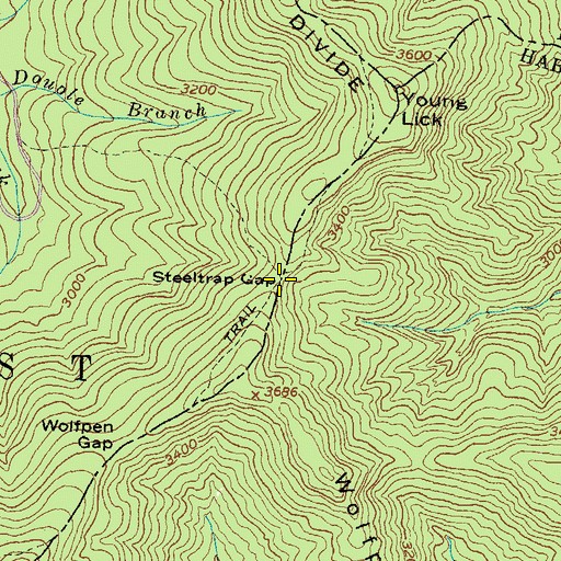Topographic Map of Steeltrap Gap, GA
