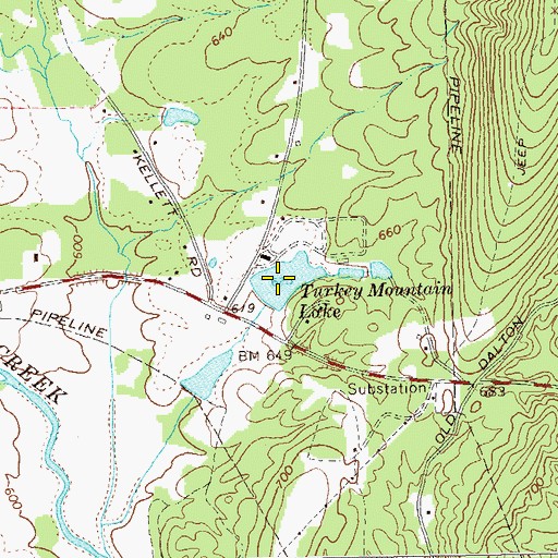 Topographic Map of Turkey Mountain Lake, GA