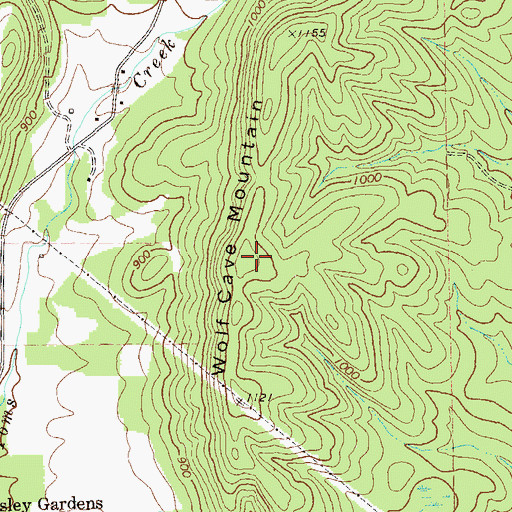 Topographic Map of Wolf Cave Mountain, GA