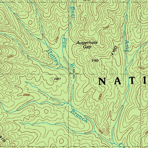 Topographic Map of Bear Paw Branch, GA