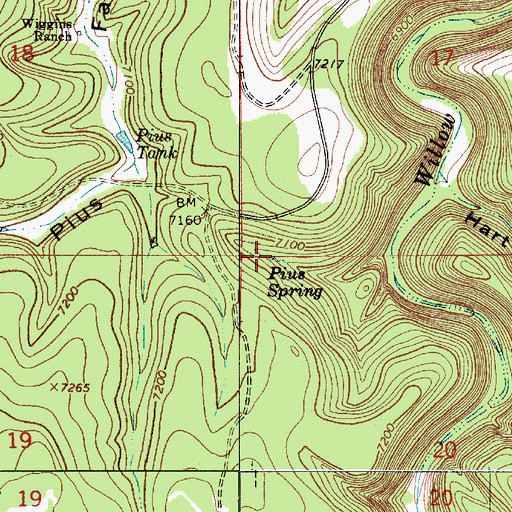 Topographic Map of Pius Spring, AZ