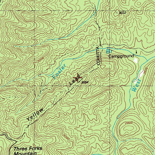 Topographic Map of Yellow Lead, GA