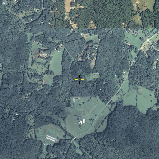 Aerial/Satellite Image of Gass Cemetery, GA