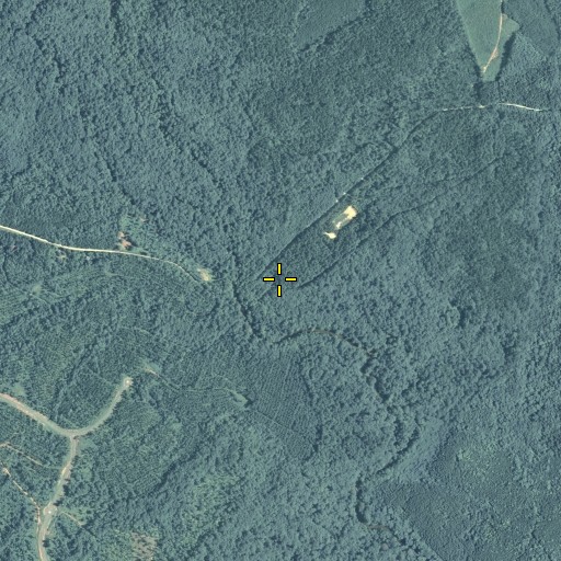 Aerial/Satellite Image of Trembling Bridge Hunt Camp, GA