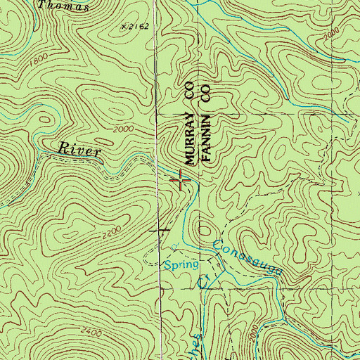 Topographic Map of Conasauga River Trail, GA