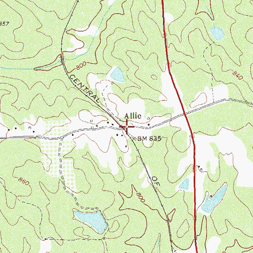 Topographic Map of Allie, GA