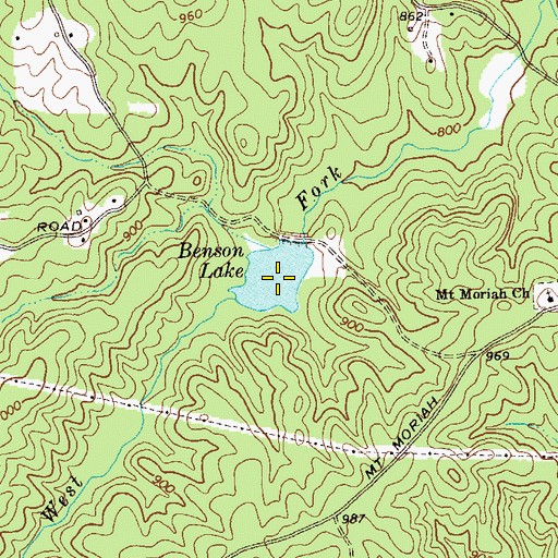 Topographic Map of Benson Lake, GA