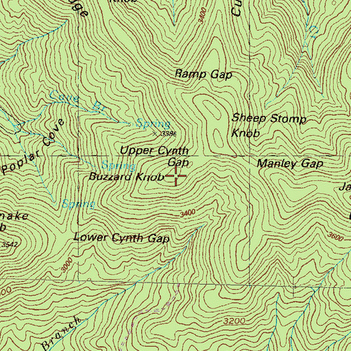 Topographic Map of Buzzard Knob, GA