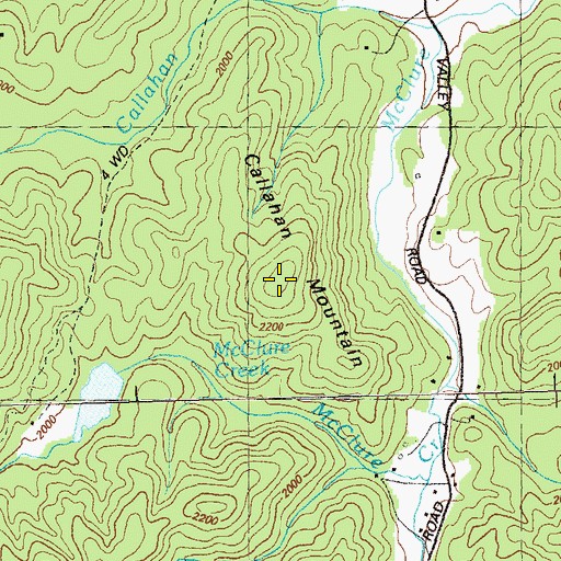 Topographic Map of Callahan Mountain, GA