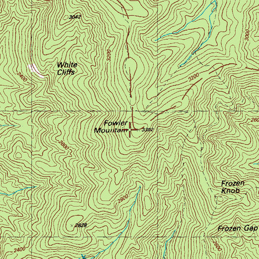 Topographic Map of Fowler Mountain, GA