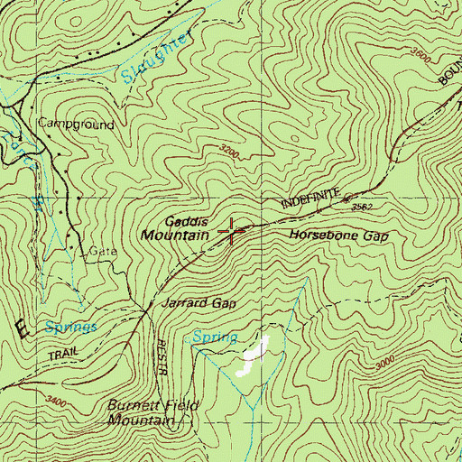 Topographic Map of Gaddis Mountain, GA
