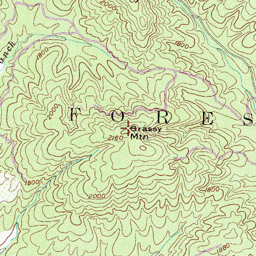 Topographic Map of Grassy Mountain, GA
