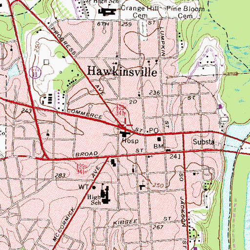 Topographic Map of Hawkinsville, GA