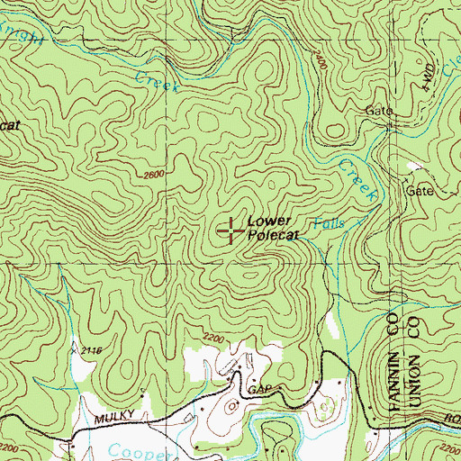 Topographic Map of Lower Polecat, GA