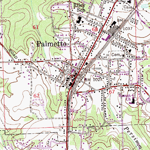 Topographic Map of Palmetto, GA