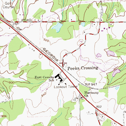 Topographic Map of Peeks Crossing, GA