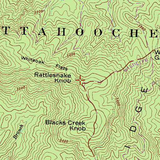 Topographic Map of Rattlesnake Knob, GA