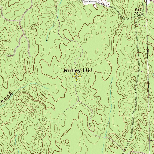 Topographic Map of Ridley Hill, GA