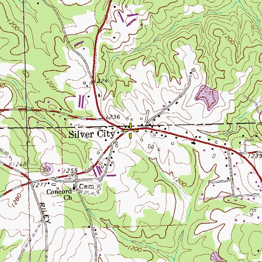 Topographic Map of Silver City, GA