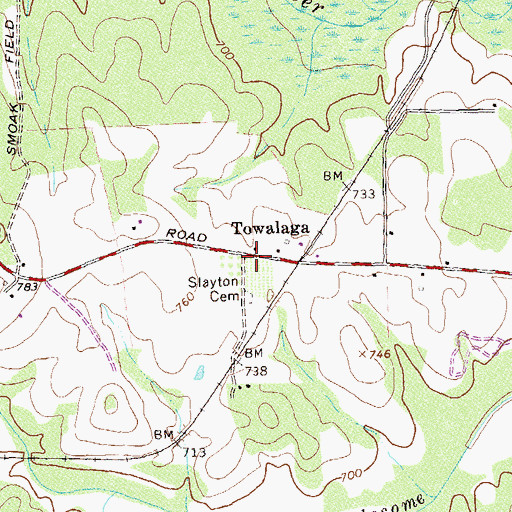 Topographic Map of Towalaga, GA