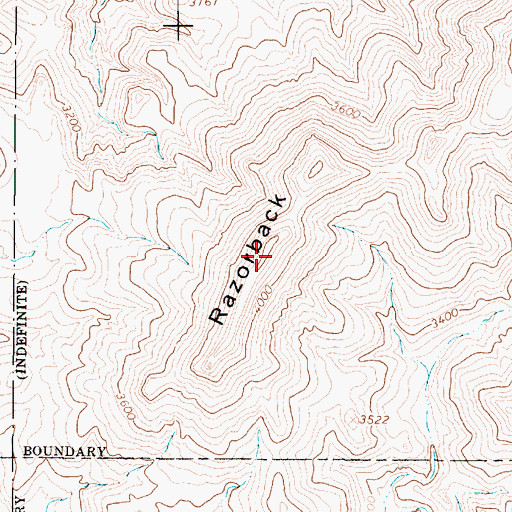 Topographic Map of Razorback, AZ