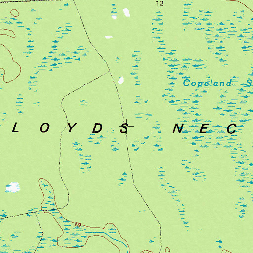 Topographic Map of Floyds Neck, GA