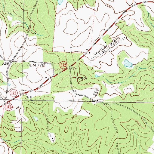 Collins Cemetery, GA