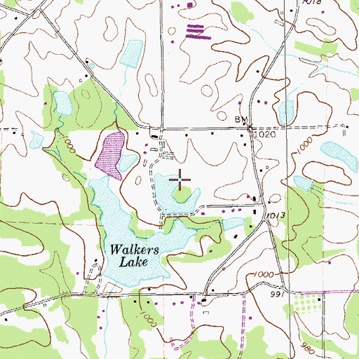 Topographic Map of W Walkers Dam, GA