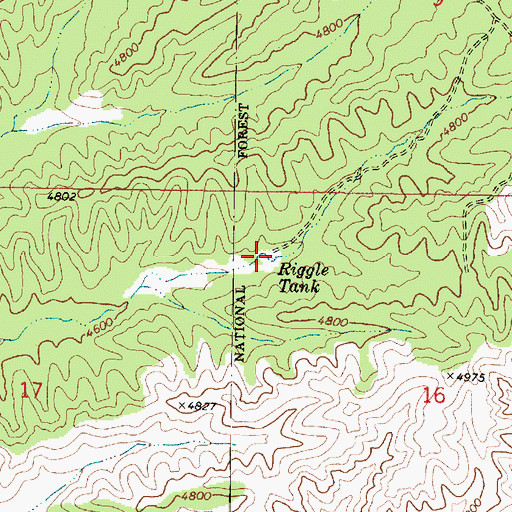 Topographic Map of Riggle Tank, AZ