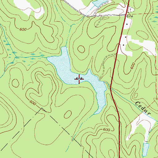 Topographic Map of Malone Lake, GA