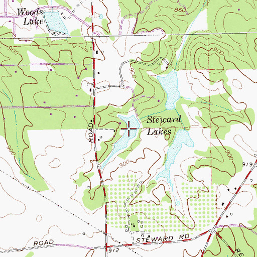 Topographic Map of West Steward Lake, GA
