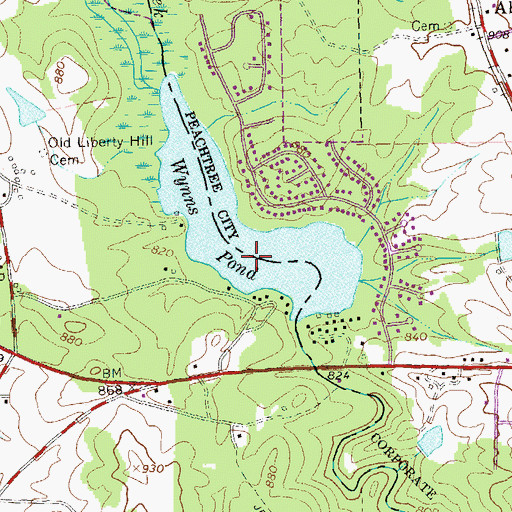 Topographic Map of Wynns Pond, GA