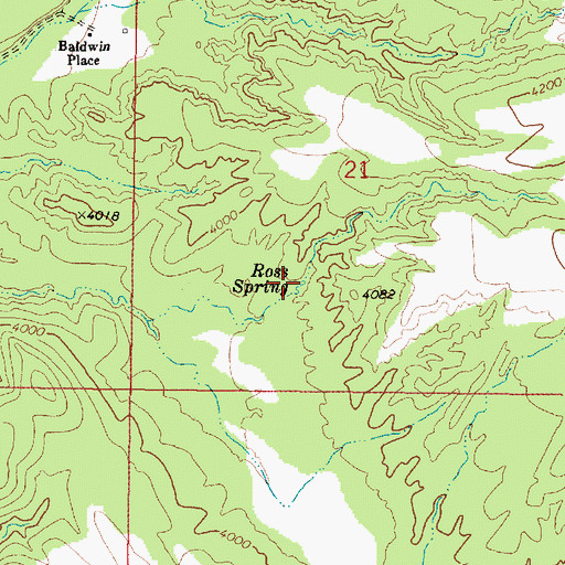 Topographic Map of Ross Spring, AZ