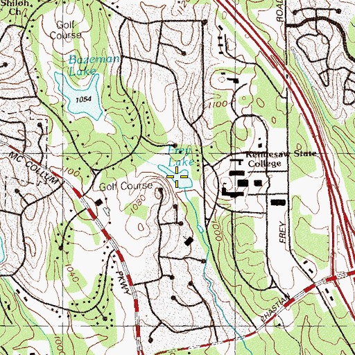 Topographic Map of Frey Lake, GA