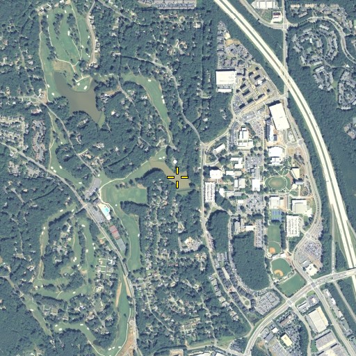 Aerial/Satellite Image of Frey Lake, GA