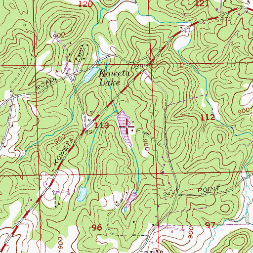 Topographic Map of Arnolds Lake, GA