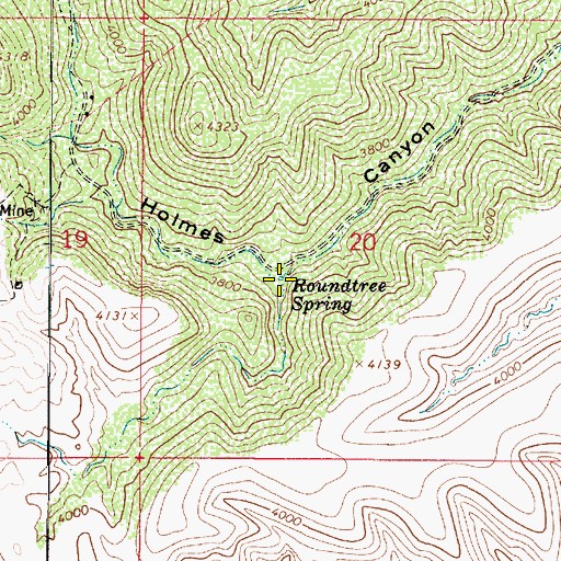 Topographic Map of Roundtree Spring, AZ