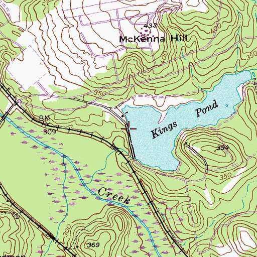 Topographic Map of Kings Pond Dam, GA