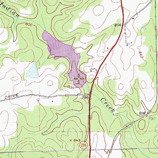 Topographic Map of Painted Turtle Lake Dam, GA