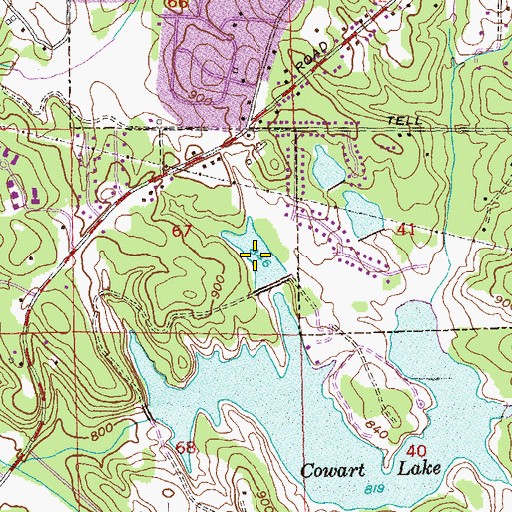 Topographic Map of Upper Cowart Lake, GA