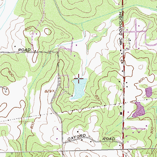 Topographic Map of Williams Lake Dam, GA