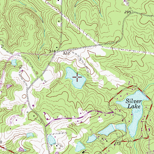 Topographic Map of Mount Olive Lake, GA
